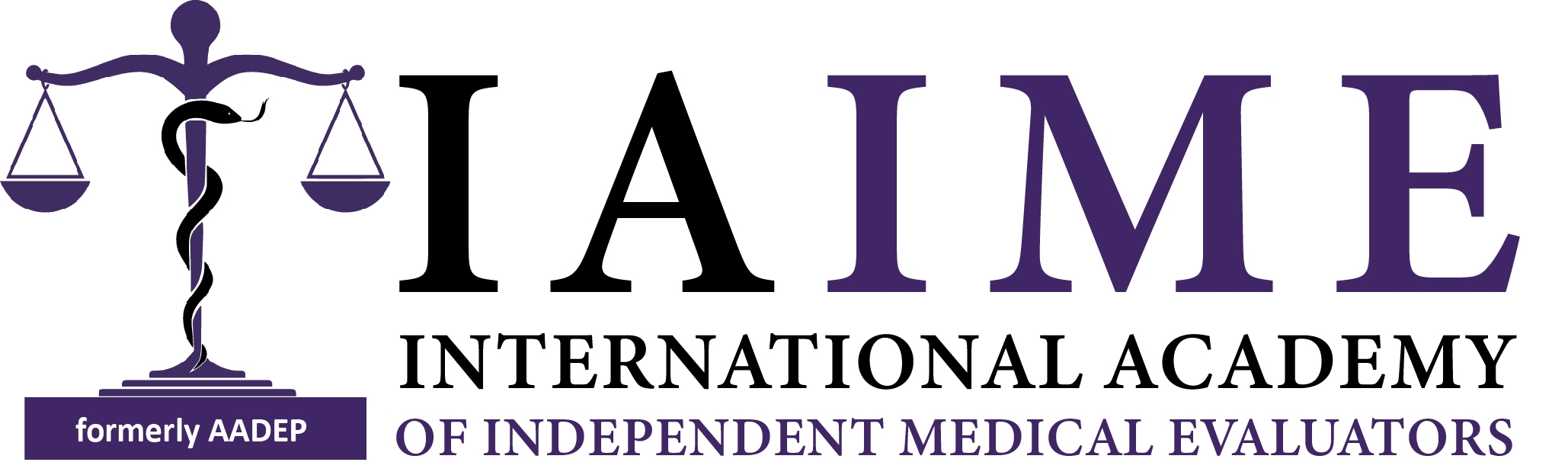 IAIME Logo